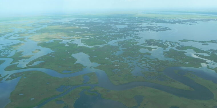 Louisiana’s coastal wetlands will disappear—it’s just a matter of when